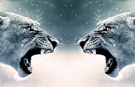 Problemes relationnels